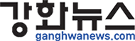 인터넷 강화뉴